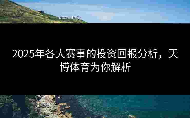 2025年各大赛事的投资回报分析，天博体育为你解析
